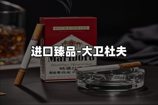 进口臻品